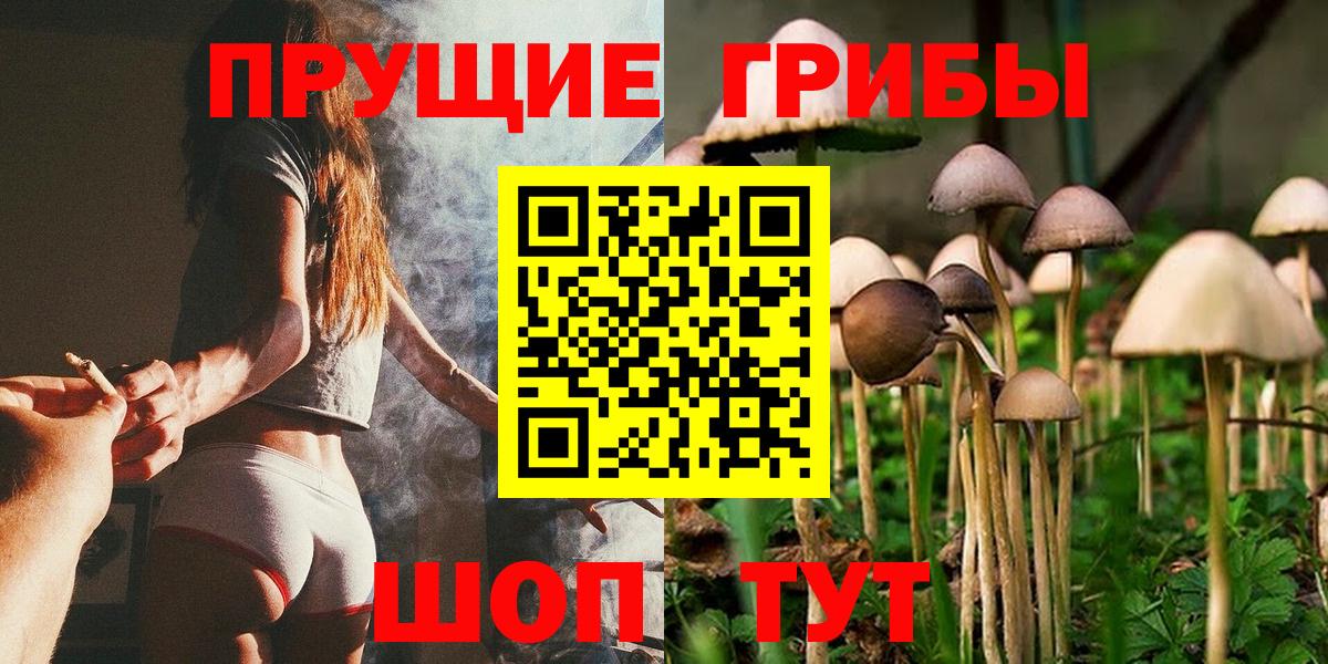 Брянск  где купить наркоту  Галлюциногенные грибы Cubensis  Вход с VPN  Галлюциногенные грибы мицелий 